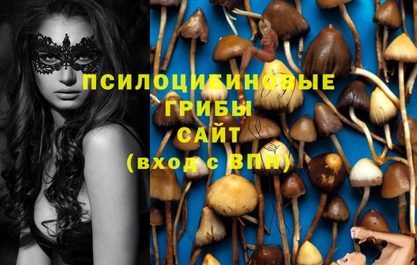 ПСИЛОЦИБИНОВЫЕ ГРИБЫ Покровск