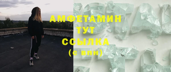 шишки Армянск