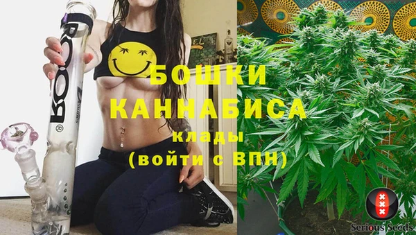 PSILOCYBIN Алексин