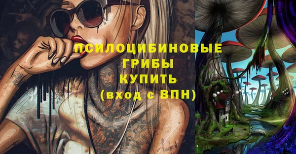 герыч Арсеньев